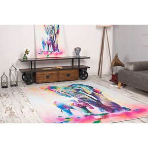 Covor de hol, Funk Chenille AL 192 , 75x150 cm, Poliester , Multicolor imagine