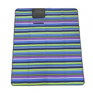 Patura pentru picnic fleece Stripe, Heinner, 150x180 cm, poliester, multicolor imagine