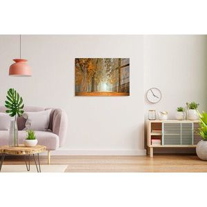 Tablou decorativ, 1250, Sticla temperata, Dimensiune: 45 x 65 cm, Multicolor imagine