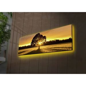 Tablou decorativ cu lumina LED, 3090DACT-68, Canvas, 30 x 90 cm, Multicolor imagine