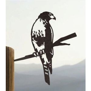 Decoratiune de perete, Hawk, Metal, Dimensiune: 25 x 33 cm, Negru imagine