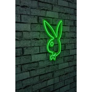 Decoratiune luminoasa LED, Playboy, Benzi flexibile de neon, DC 12 V, Verde imagine