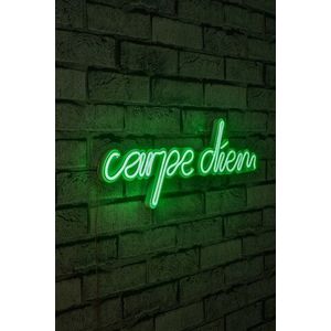 Decoratiune luminoasa LED, Carpe Diem, Benzi flexibile de neon, DC 12 V, Verde imagine