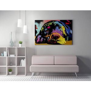 Tablou decorativ, WY164 (50 x 70), 50% bumbac / 50% poliester, Canvas imprimat, Multicolor imagine