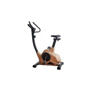 Bicicleta magnetica FitTronic 601B Gold - Apps Zwift, Kinomap and Fitshow imagine