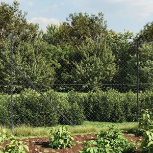 vidaXL Gard plasă de sârmă, antracit, 2, 2x25 m imagine