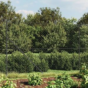vidaXL Gard plasă de sârmă cu țăruși de fixare, antracit, 2, 2x25 m imagine