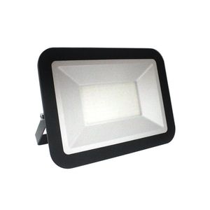 LED Proiector LED/100W/230V imagine
