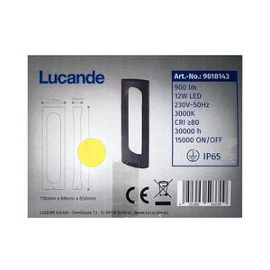 Lampă LED de exterior FENTI LED/12W/230V IP65 Lucande imagine
