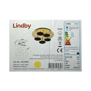 Plafonieră LED dimabilă CASNI 5xLED/5W/230V Lindby imagine