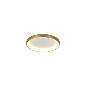 Plafonieră LED dimabilă LED/30W/230V d. 40 cm auriu Zam 2042 imagine