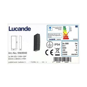 Aplică LED de exterior CORDA 2xLED/3W/230V IP54 Lucande imagine