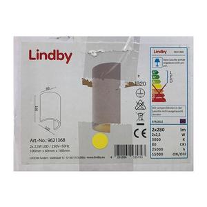 Aplică LED JENKE 2xLED/2, 5W/230V Lindby imagine