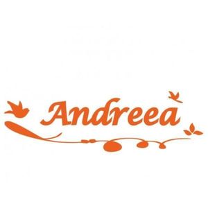 Sticker decorativ, Pasari Andreea, portocaliu, 56x24 cm imagine