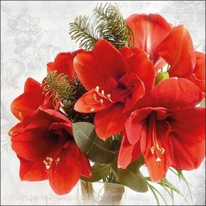 Servetele Red Amaryllis 33x33 cm imagine
