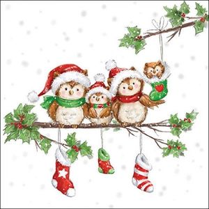Servetele de masa Christmas Owl Family 20 bucati 33x33 cm imagine