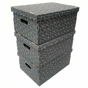 Compactor Set 3 cutii de carton, 52 x 29 x 20 cm imagine