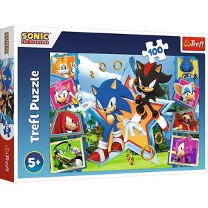 Puzzle Trefl Sonic Cunoașteți ariciul, 100 bucăți imagine