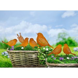 6 Păsărele pentru grădină imagine
