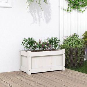 vidaXL Jardinieră de grădină, alb, 60x31x31 cm, lemn masiv de pin imagine