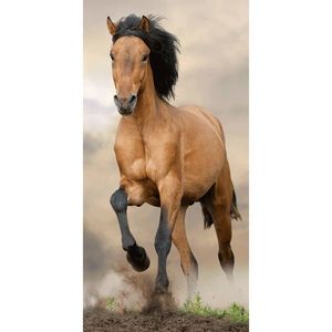 Prosop Horse, 70 x 140 cm imagine