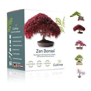 Set cadou Kit de crestere plante Zen Bonsai imagine