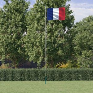 vidaXL Steag Franța și stâlp din aluminiu, 6, 23 m imagine