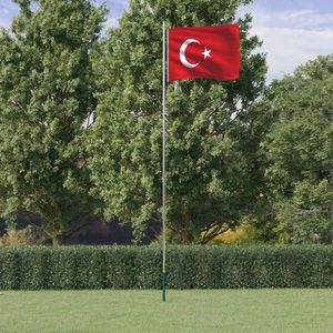 vidaXL Steag Turcia și stâlp din aluminiu, 6, 23 m imagine