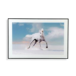 Tablou decorativ Sky Horse, Versa, 40 x 60 cm, sticla/MDF imagine