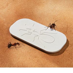 Placă anti-furnici imagine
