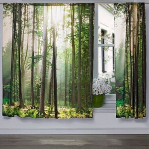 Predea „Pădurea” imagine