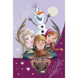 Pătură pentru copii Jerry Fabrics Frozen Family 03, 100 x 150 cm imagine