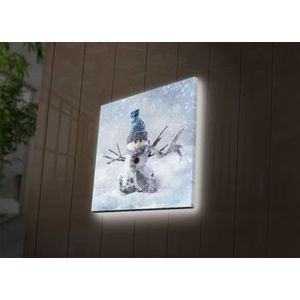 Tablou pe panza iluminat Ledda, 254LED4236, 40 x 40 cm, Multicolor imagine