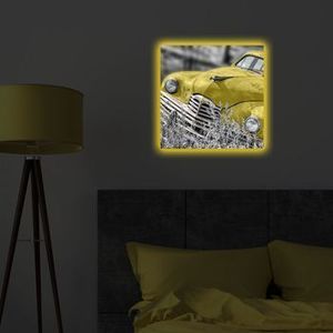 Tablou pe panza iluminat Ledda, 254LED4249, 40 x 40 cm, Multicolor imagine
