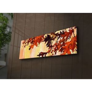 Tablou pe panza iluminat Ledda, 254LED1204, 30 x 90 cm, Multicolor imagine