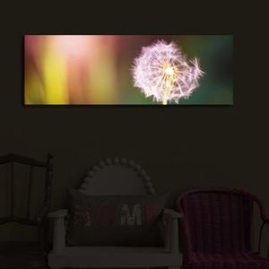 Tablou pe panza iluminat Shining, 239SHN3222, 30 x 90 cm, Multicolor imagine