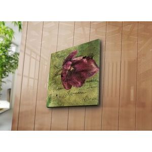 Tablou decorativ Bonanza, 242BNZ1202, 45 x 45 cm, Multicolor imagine