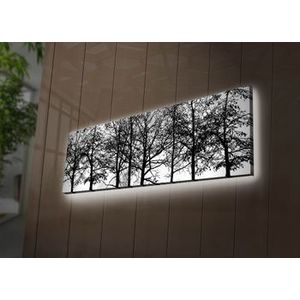 Tablou decorativ canvas cu leduri Ledda, 254LED3270, Multicolor imagine