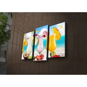 Tablou decorativ canvas cu leduri (3 Piese) Ledda, 254LED3237, Multicolor imagine