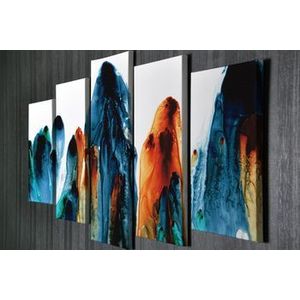 Tablou decorativ, Vega, Canvas 100 procente, lemn 100 procente, 2 piese, 105 x 70 cm, 265VGA1170, Multicolor imagine