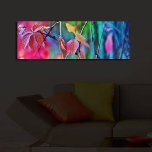 Tablou decorativ canvas cu leduriShining, 239SHN3221, Multicolor imagine