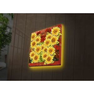 Tablou pe panza iluminat Ledda, 254LED4258, 40 x 40 cm, Multicolor imagine