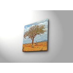 Tablou decorativ pe panza Sightly, 252SGH1248, 45 x 45 cm, Multicolor imagine