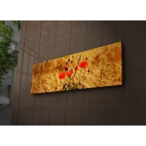 Tablou pe panza iluminat Ledda, 254LED1221, 30 x 90 cm, Multicolor imagine