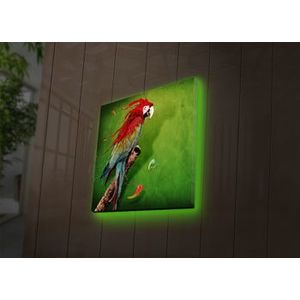 Tablou pe panza iluminat Ledda, 254LED4251, 40 x 40 cm, Multicolor imagine
