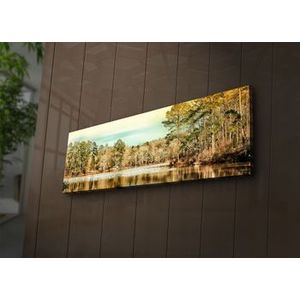 Tablou pe panza iluminat Ledda, 254LED1213, 30 x 90 cm, Multicolor imagine