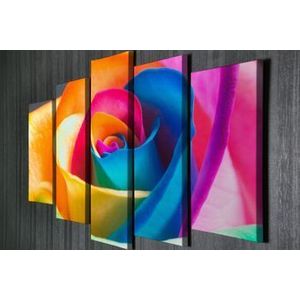 Tablou decorativ, Vega, Canvas 100 procente, lemn 100 procente, 2 piese, 105 x 70 cm, 265VGA1166, Multicolor imagine