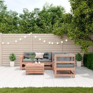 vidaXL Set mobilier de grădină cu perne, 5 piese, lemn masiv douglas imagine