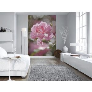 Fototapet floral, Bouquet, Komar, roz, adeziv inclus, 184x254cm imagine