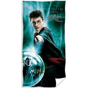 Prosop Harry Potter Only One Can Survive , 70 x140 cm imagine